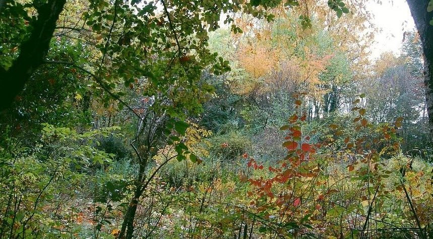 Arboretum du Chêne-Vert, Chabanais, France, France
